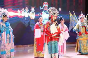 芜湖黄梅戏剧团演出剧照